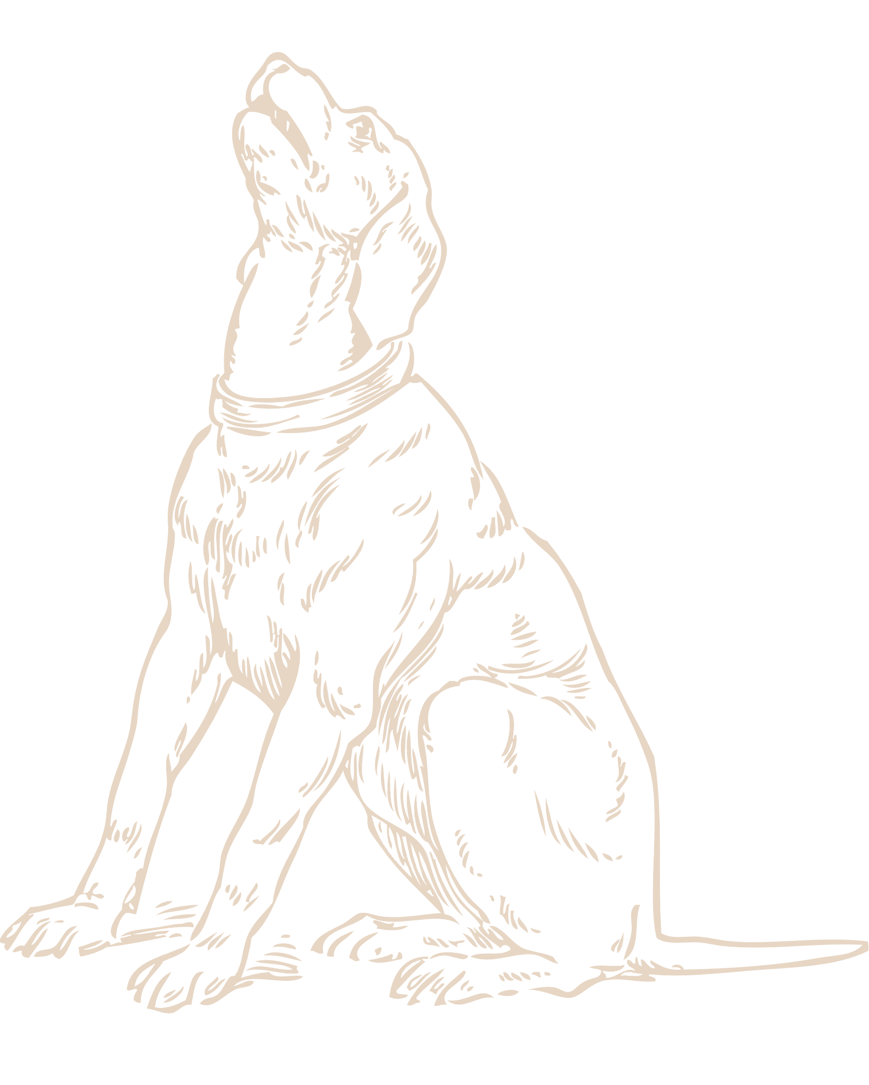 Large watermark of barking retriever.